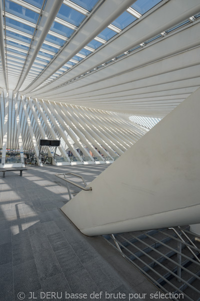 gare de Liège-Guillemins
Liege-Guillemins railway station